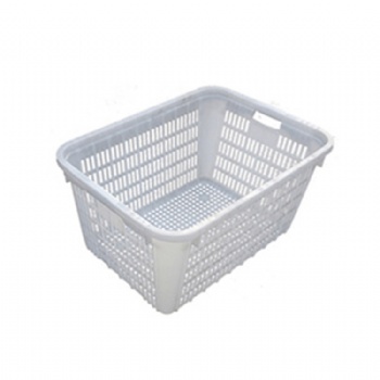 Custom Plastic Injection Molding Plastic Mold